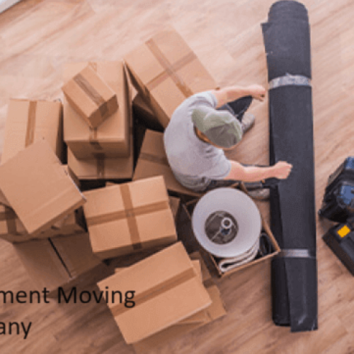 The Art of Precision: Choosing the Right Instrument Removals Company